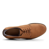 Newman Oxford II